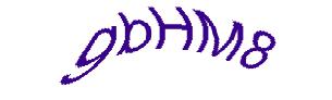 عبارت امنیتی