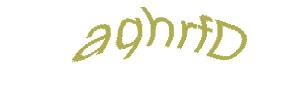 عبارت امنیتی