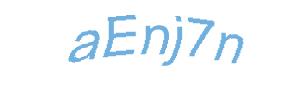 عبارت امنیتی