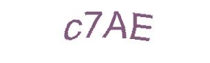 عبارت امنیتی