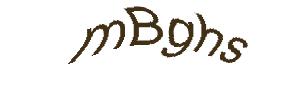 عبارت امنیتی