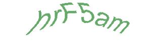 عبارت امنیتی