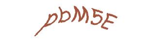 عبارت امنیتی