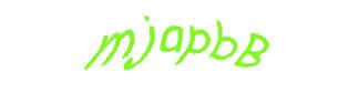 عبارت امنیتی