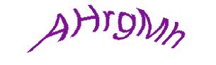 عبارت امنیتی