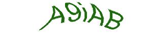 عبارت امنیتی