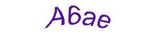 عبارت امنیتی