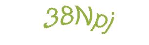 عبارت امنیتی