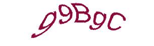 عبارت امنیتی