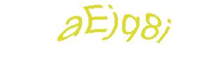 عبارت امنیتی