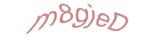 عبارت امنیتی