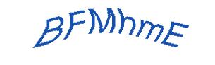 عبارت امنیتی