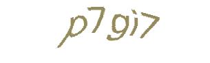 عبارت امنیتی
