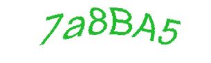 عبارت امنیتی