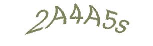 عبارت امنیتی