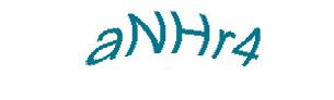 عبارت امنیتی