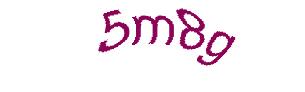 عبارت امنیتی