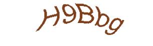عبارت امنیتی