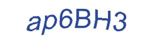 عبارت امنیتی