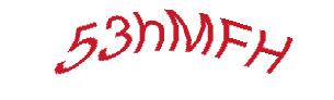 عبارت امنیتی