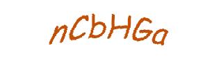 عبارت امنیتی