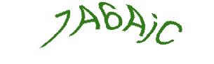 عبارت امنیتی