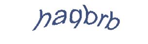 عبارت امنیتی