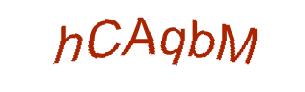 عبارت امنیتی