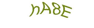 عبارت امنیتی