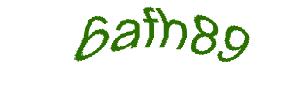 عبارت امنیتی