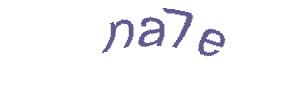 عبارت امنیتی
