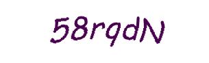 عبارت امنیتی