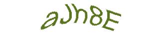 عبارت امنیتی
