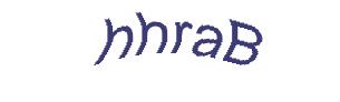 عبارت امنیتی