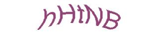 عبارت امنیتی