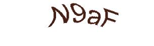 عبارت امنیتی