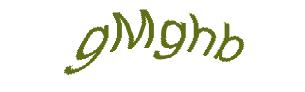 عبارت امنیتی