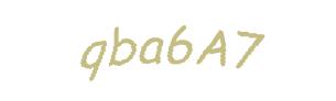 عبارت امنیتی