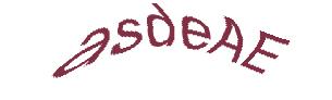 عبارت امنیتی