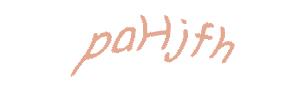 عبارت امنیتی