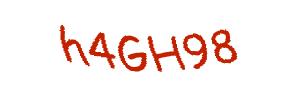 عبارت امنیتی