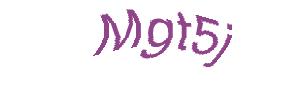 عبارت امنیتی