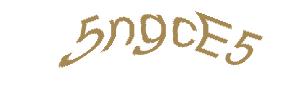 عبارت امنیتی