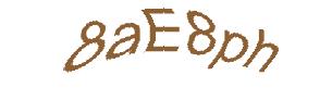 عبارت امنیتی