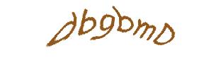 عبارت امنیتی