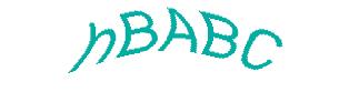 عبارت امنیتی