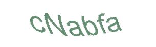 عبارت امنیتی