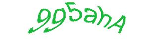عبارت امنیتی