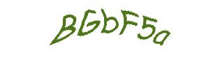 عبارت امنیتی