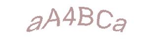 عبارت امنیتی